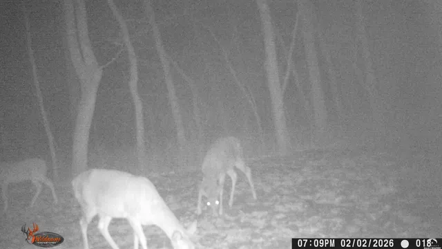 $1,840,000 | 4919 Ferguson Road, Perry, KS 66073