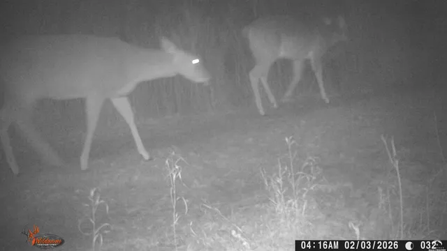 $1,840,000 | 4919 Ferguson Road, Perry, KS 66073