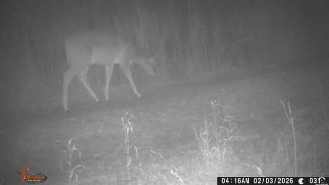 $1,840,000 | 4919 Ferguson Road, Perry, KS 66073