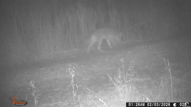 $1,840,000 | 4919 Ferguson Road, Perry, KS 66073