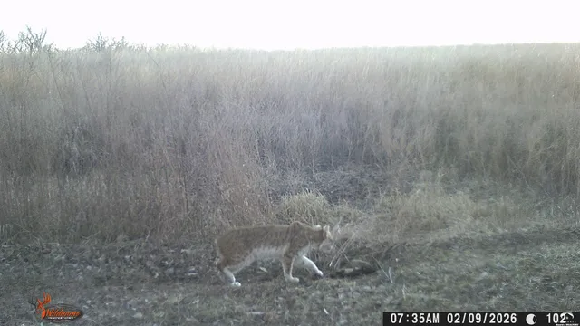 $1,840,000 | 4919 Ferguson Road, Perry, KS 66073