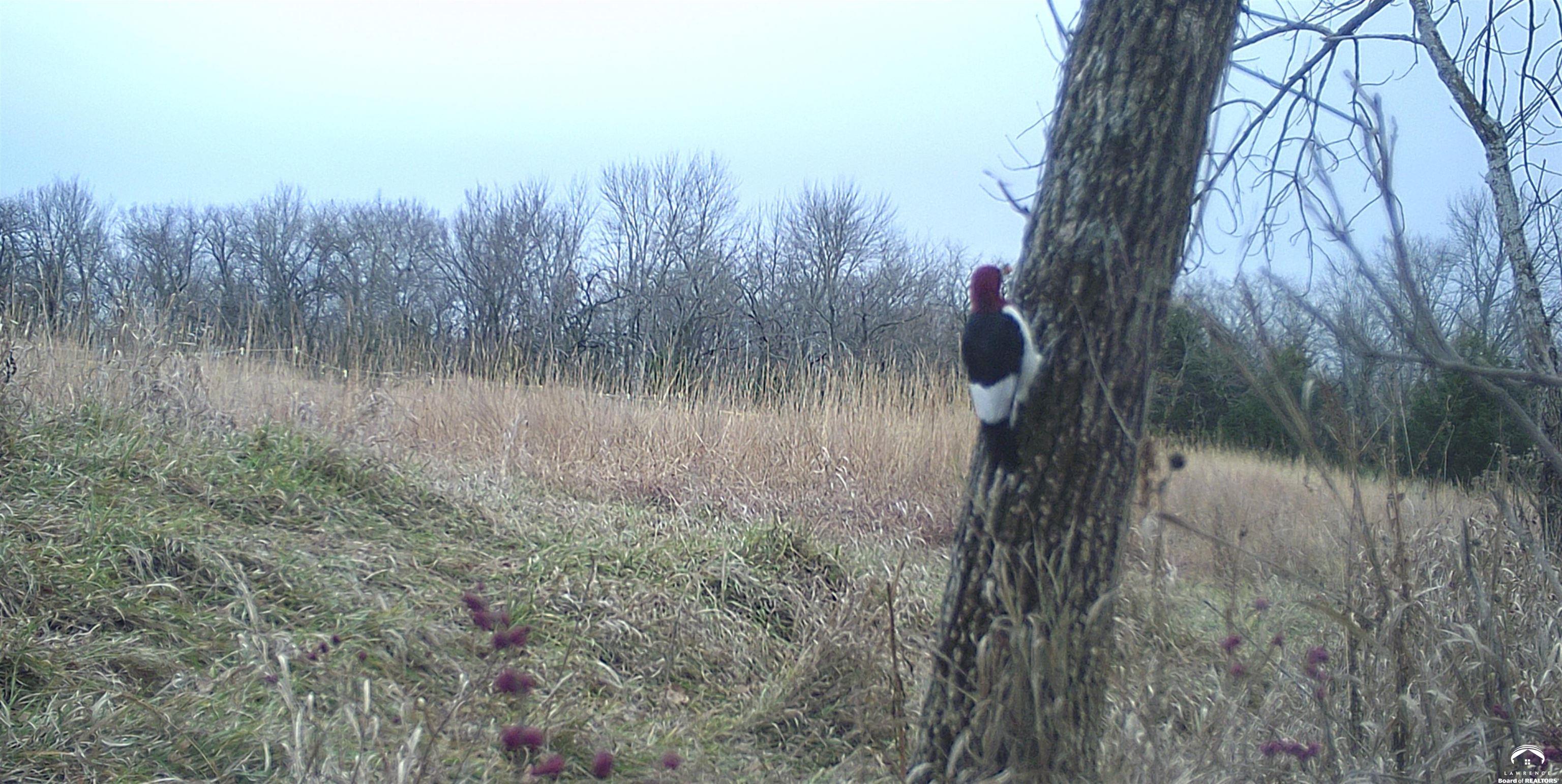 4919 Ferguson Road Perry, KS 66073 - Photo 9 of 22