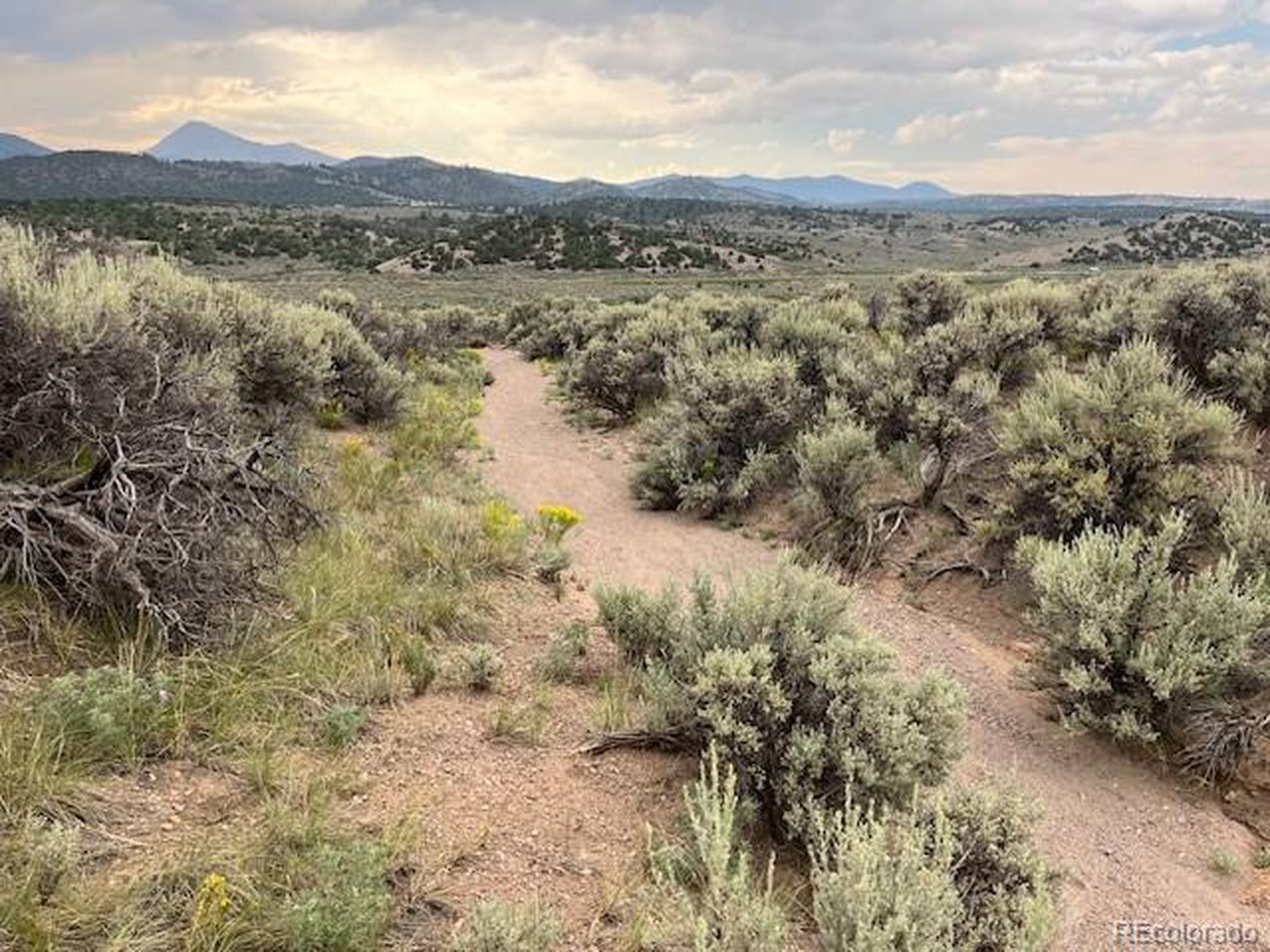 4516 Beekman Road Fort Garland, CO 81133 - Photo 11 of 23 A dry arroyo runs through the middle of the property.