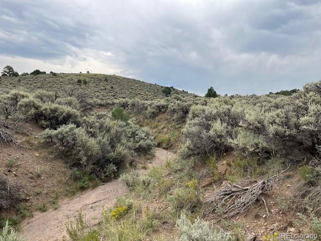 4516 Beekman Road Fort Garland, CO 81133 - Photo 12 of 23