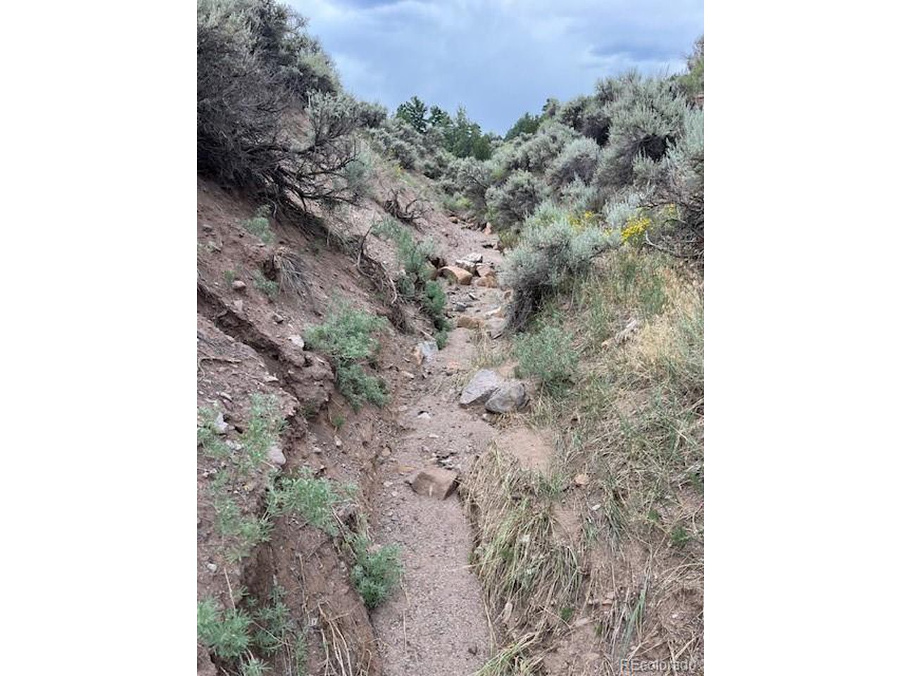 4516 Beekman Road Fort Garland, CO 81133 - Photo 14 of 23