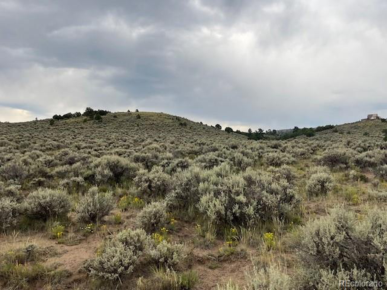 4516 Beekman Road Fort Garland, CO 81133 - Photo 19 of 23