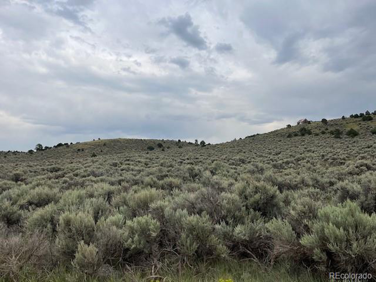 4516 Beekman Road Fort Garland, CO 81133 - Photo 7 of 23