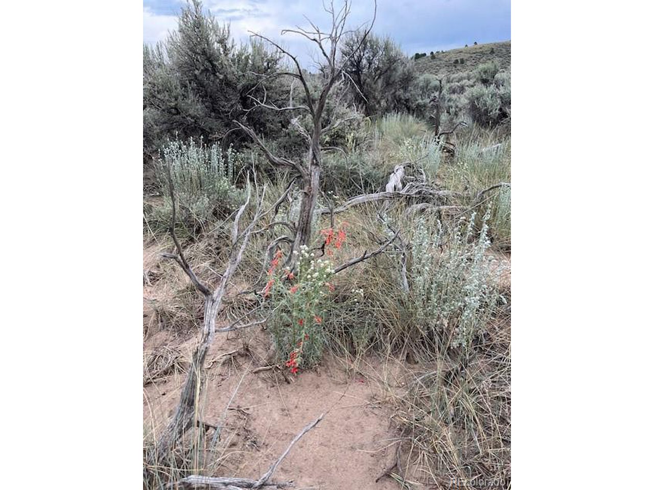 4516 Beekman Road Fort Garland, CO 81133 - Photo 8 of 23