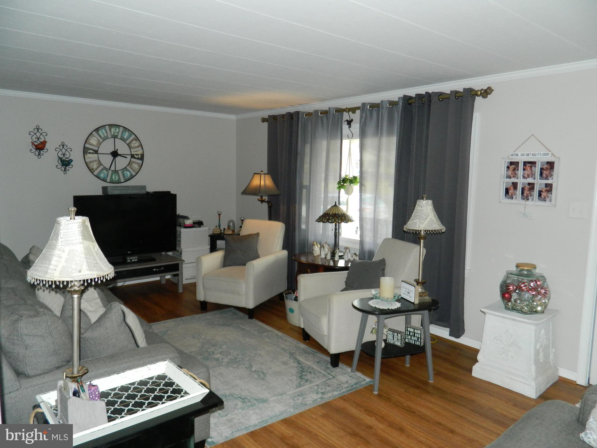 20822 San Mar Road Boonsboro, MD 21713 - Photo 3 of 36 Living room