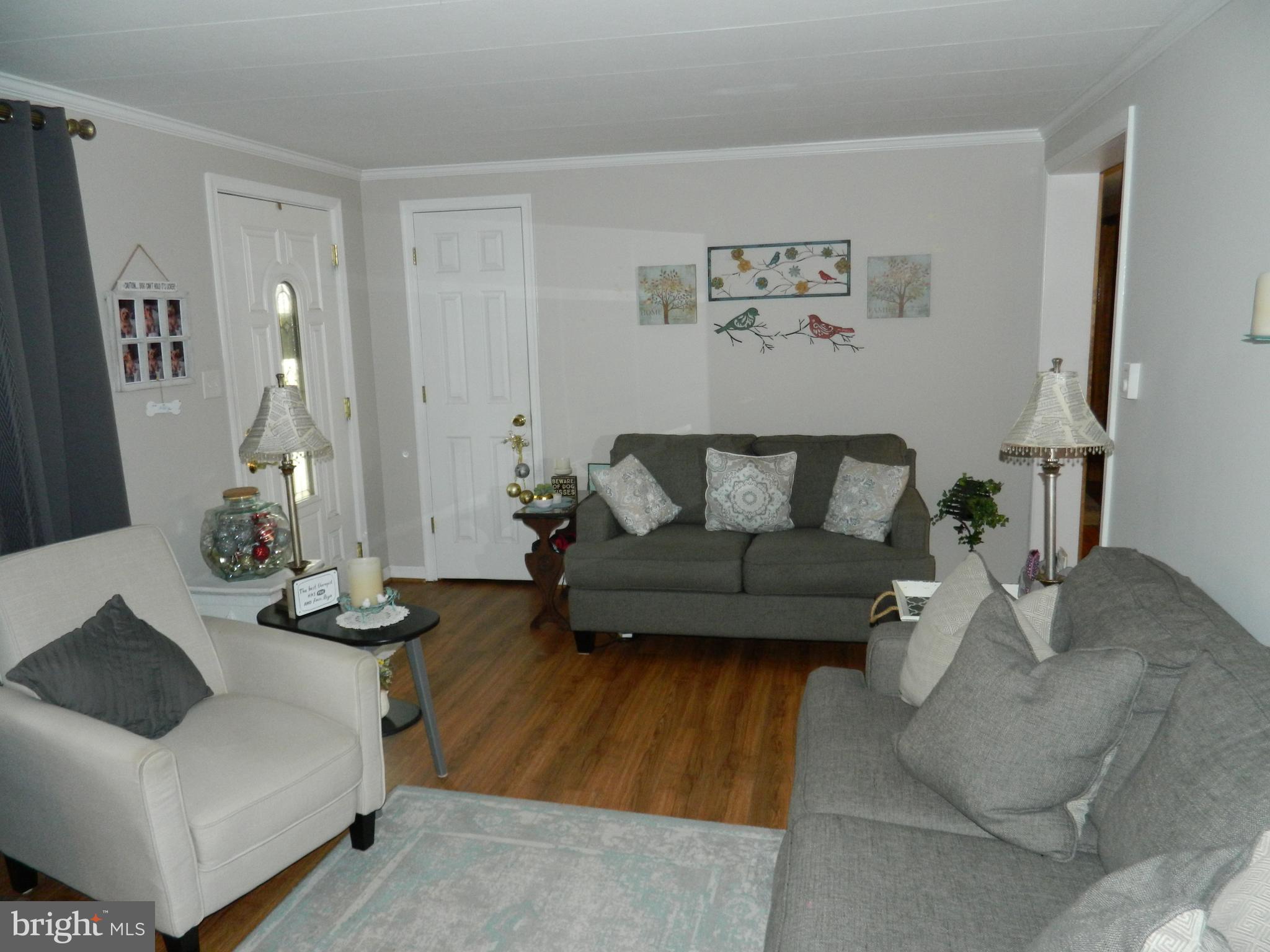 20822 San Mar Road Boonsboro, MD 21713 - Photo 8 of 36 Living room