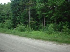 Timber Ridge Road Windham, VT 05159 - Photo 2 of 3