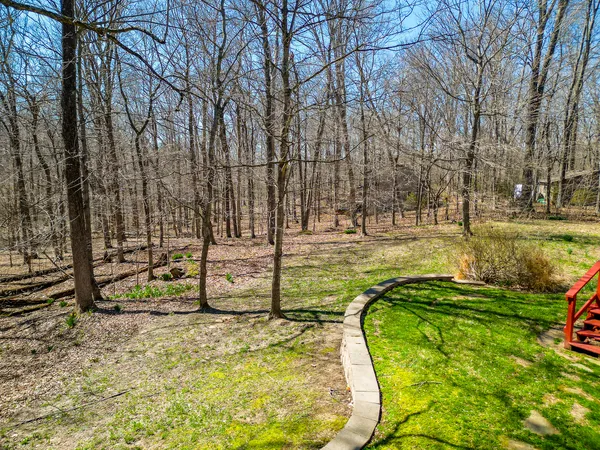 a view of yard