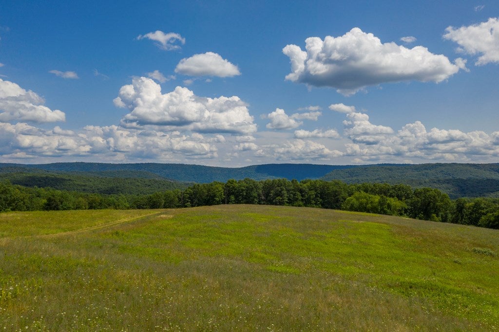12009 Piney Ridge Road, Unit LOT 6 Huntingdon, PA 16652 - Photo 3 of 8 Gallery Image 3
