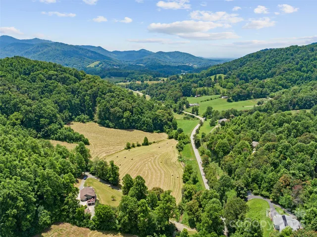 a view of a lush green hillside and a houses