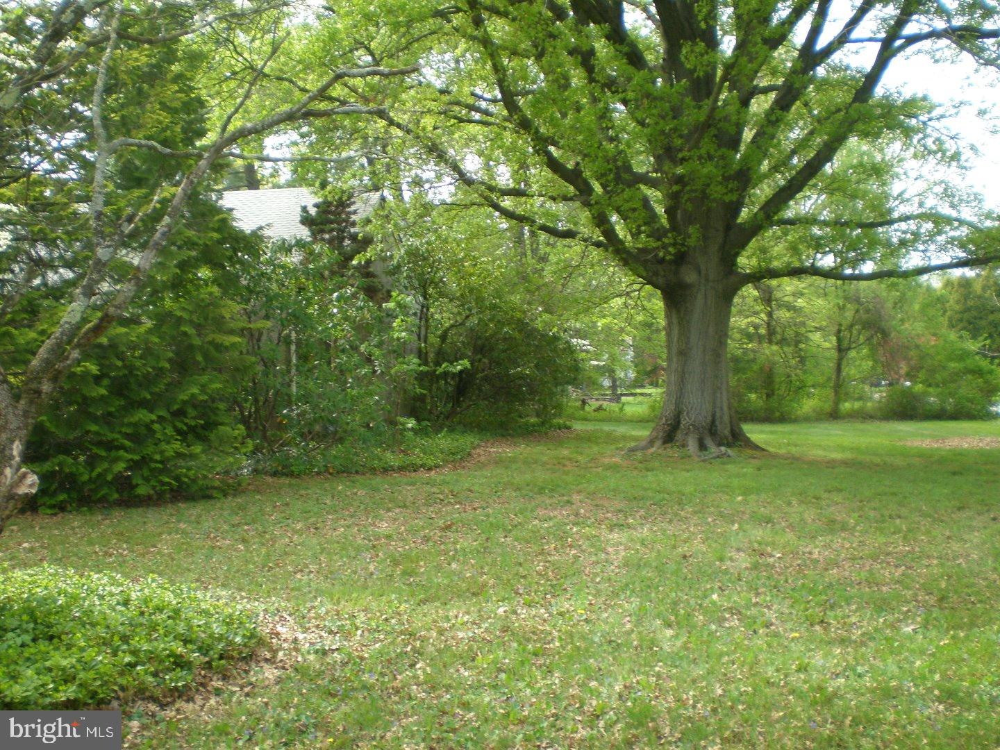 887 Rabbit Run Road Blue Bell, PA 19422 - Photo 3 of 17 Side Yard
