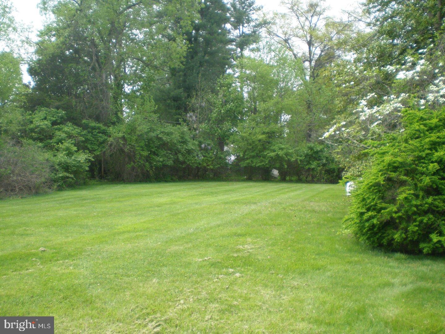 887 Rabbit Run Road Blue Bell, PA 19422 - Photo 5 of 17 Side Yard