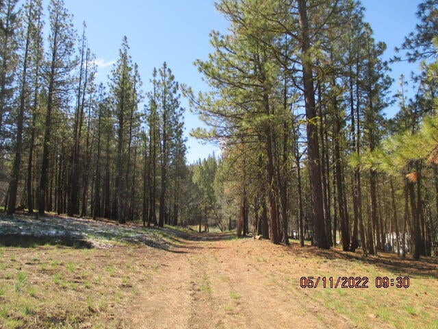 Lot 2 Partin Drive Beatty, OR 97621 - Photo 6 of 11 IMG_0004