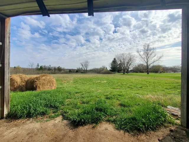 a view of a yard with an outdoor space