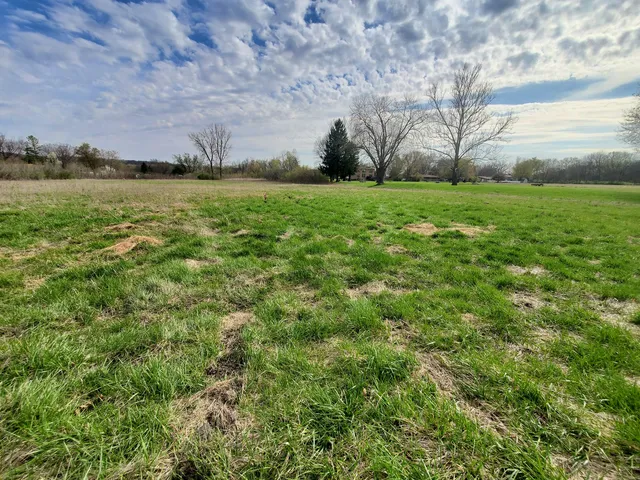 a view of a field with an trees