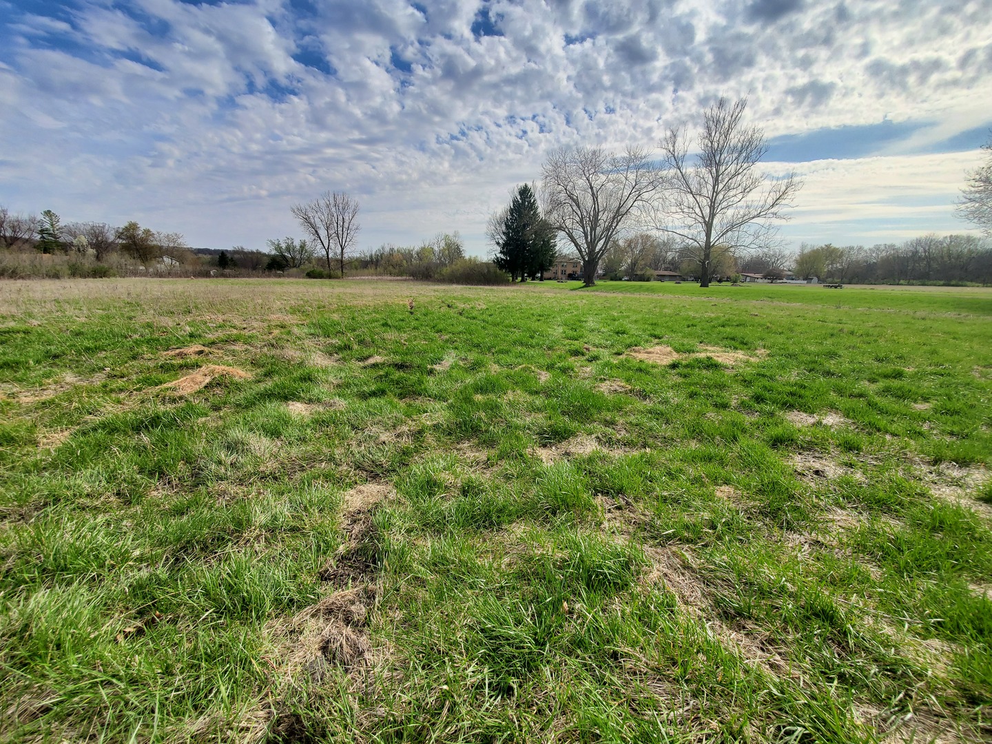 22738 1120th Avenue Princeton, IL 61356 - Photo 16 of 32 a view of a field with an trees