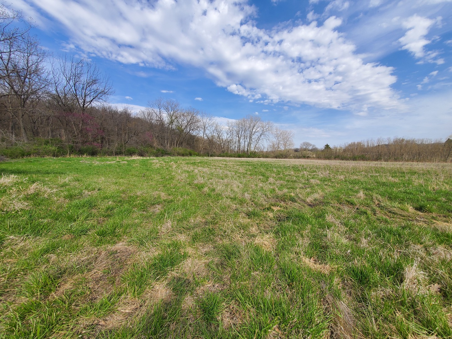 22738 1120th Avenue Princeton, IL 61356 - Photo 17 of 32 a view of an outdoor space and a yard