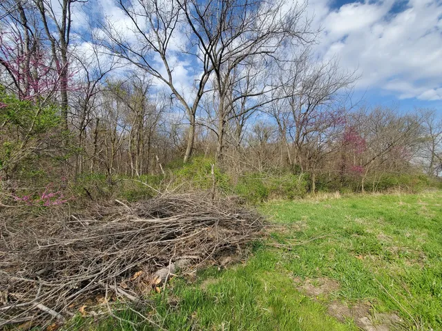 a view of outdoor space and trees