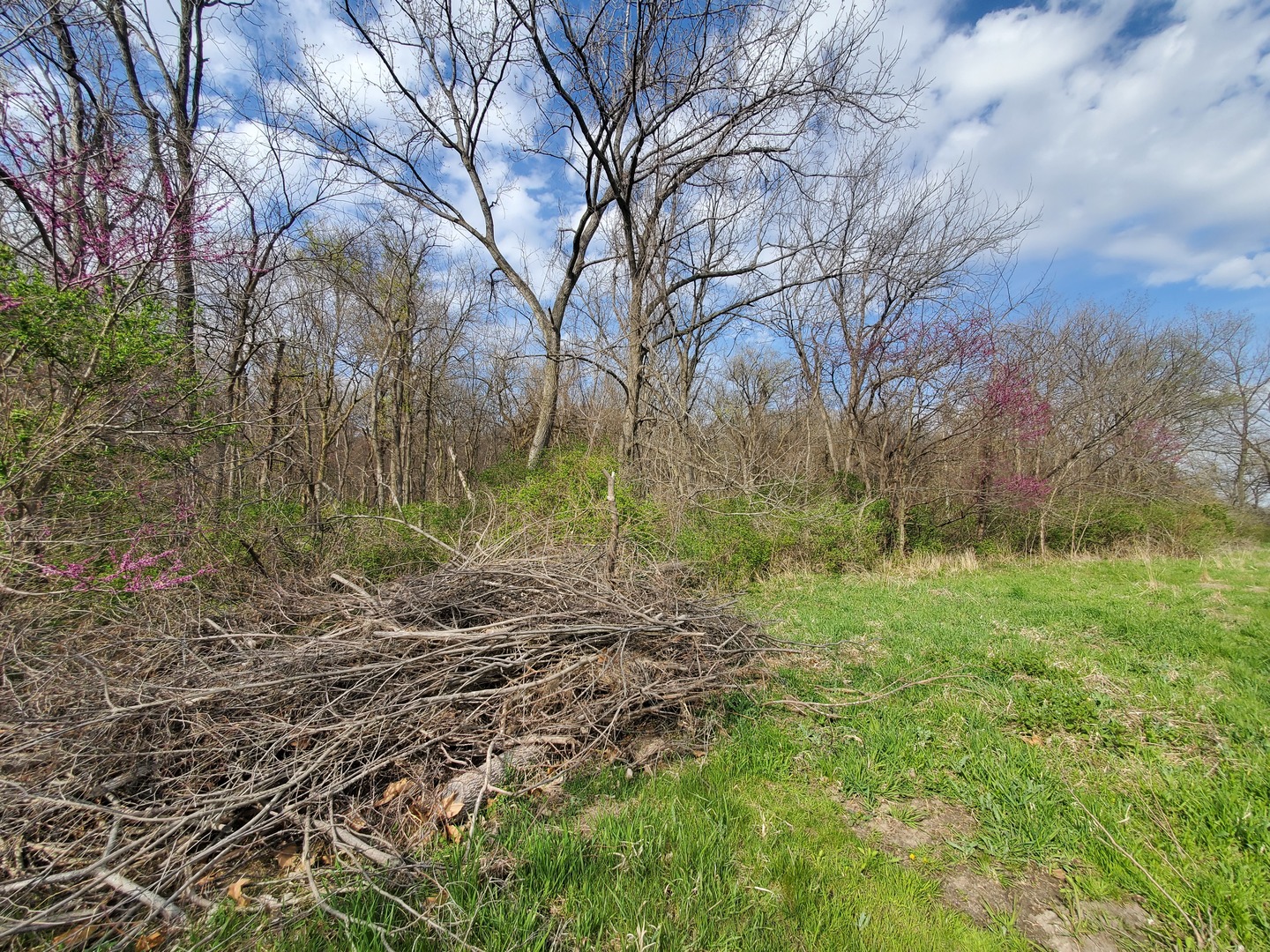 22738 1120th Avenue Princeton, IL 61356 - Photo 18 of 32 a view of outdoor space and trees