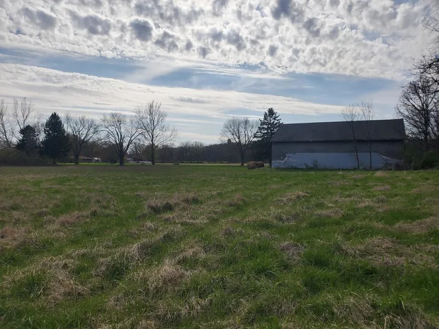 a view of a field with an ocean