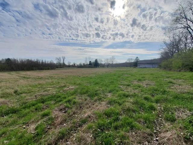 a view of a field of grass and trees