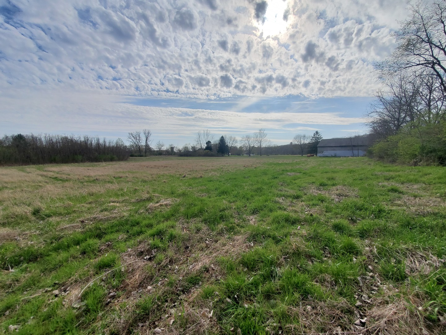 22738 1120th Avenue Princeton, IL 61356 - Photo 23 of 32 a view of a field of grass and trees