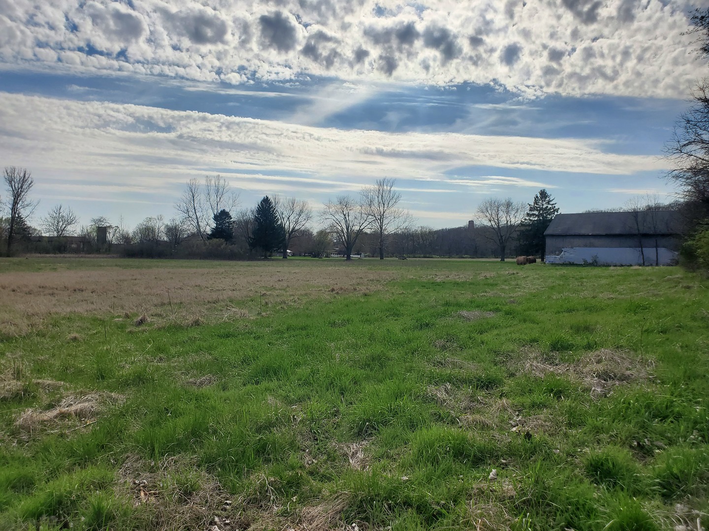 22738 1120th Avenue Princeton, IL 61356 - Photo 24 of 32 a view of a field with an trees