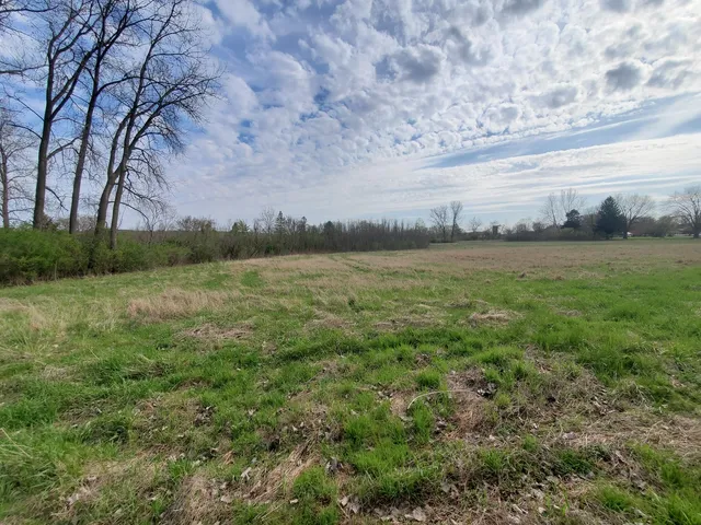 a view of a field with an trees