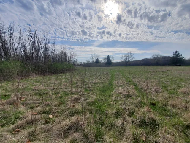 a view of a lake from a yard