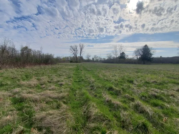 a view of a field of grass and trees