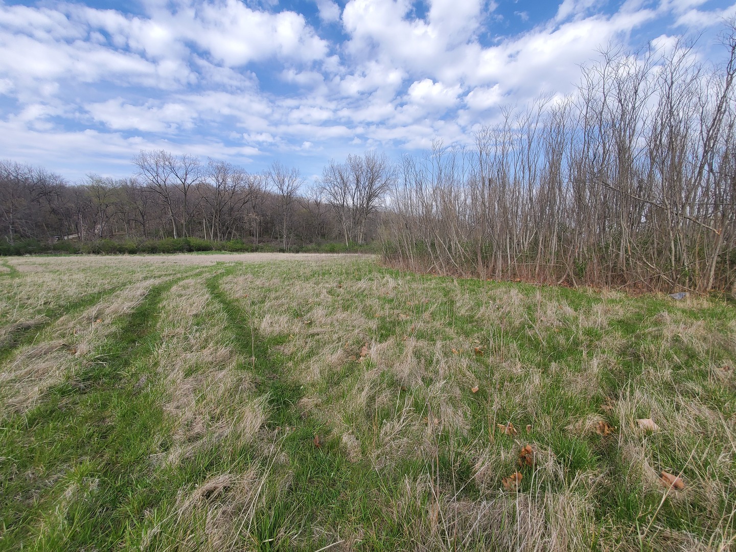 22738 1120th Avenue Princeton, IL 61356 - Photo 30 of 32 a view of a lush green space