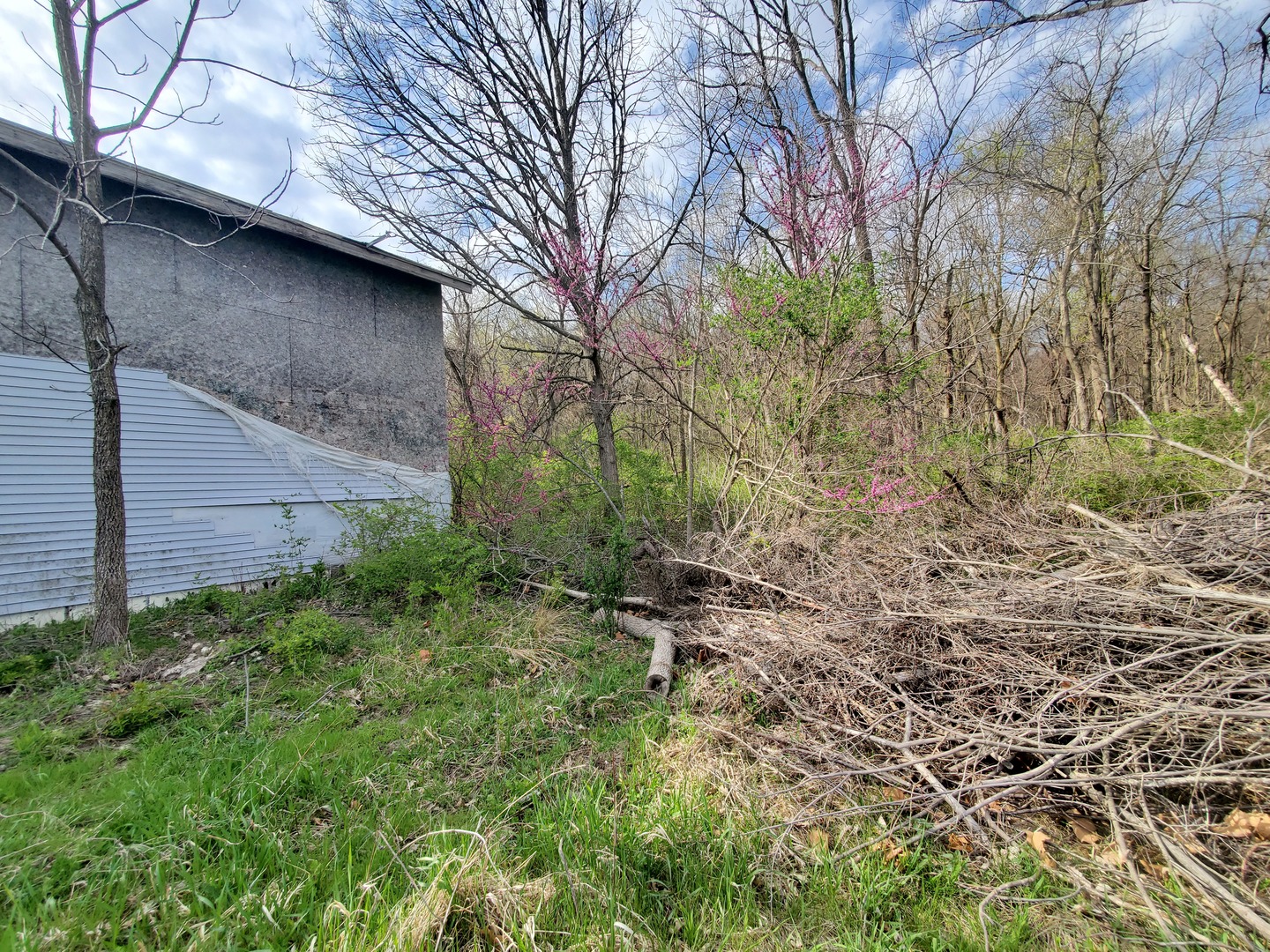 22738 1120th Avenue Princeton, IL 61356 - Photo 3 of 32 a backyard of a house with lots of green space
