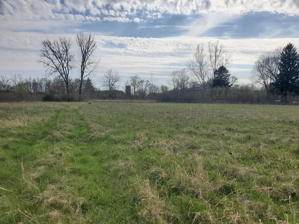 a view of a big yard with an trees