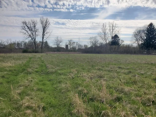 a view of a big yard with an trees