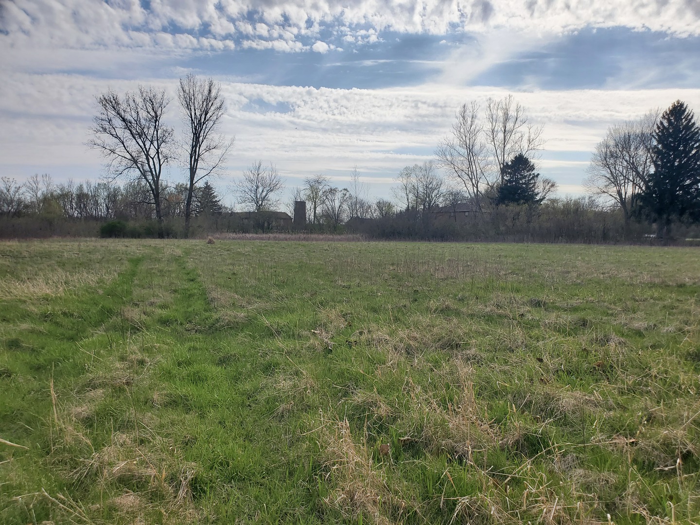 22738 1120th Avenue Princeton, IL 61356 - Photo 31 of 32 a view of a big yard with an trees