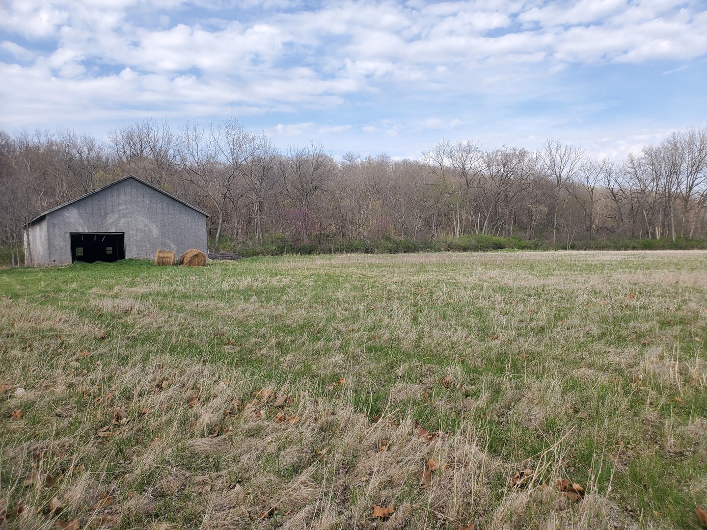 22738 1120th Avenue Princeton, IL 61356 - Photo 5 of 32 a big house with a big yard and large trees