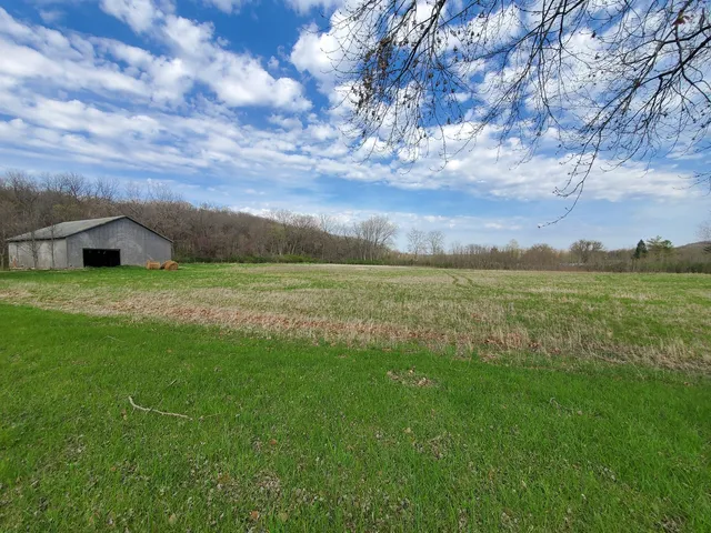 a view of a field with an trees