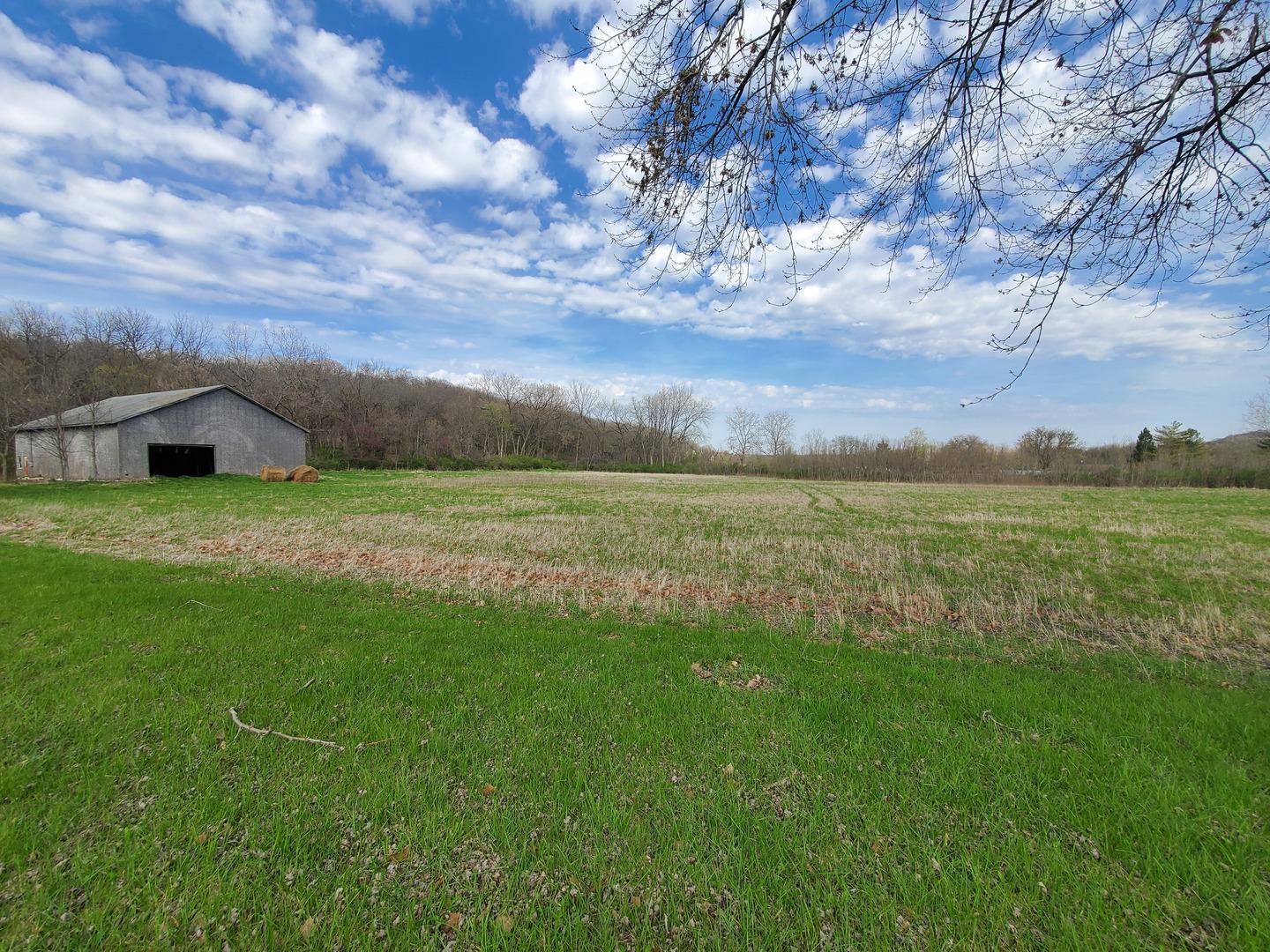 22738 1120th Avenue Princeton, IL 61356 - Photo 7 of 32 a view of a field with an trees