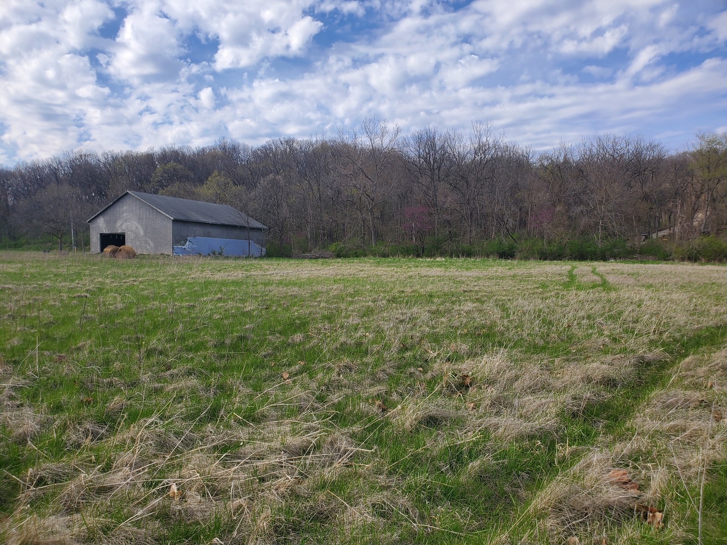 22738 1120th Avenue Princeton, IL 61356 - Photo 10 of 32 a backyard of a house with lots of green space