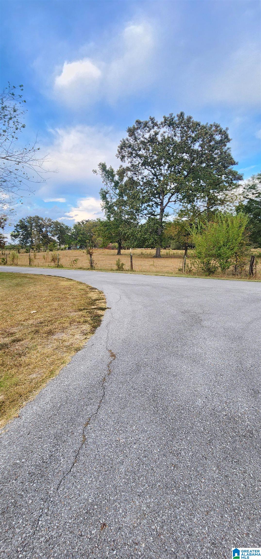 3651 Steele Station Road Rainbow City, AL 35906 - Photo 48 of 63
