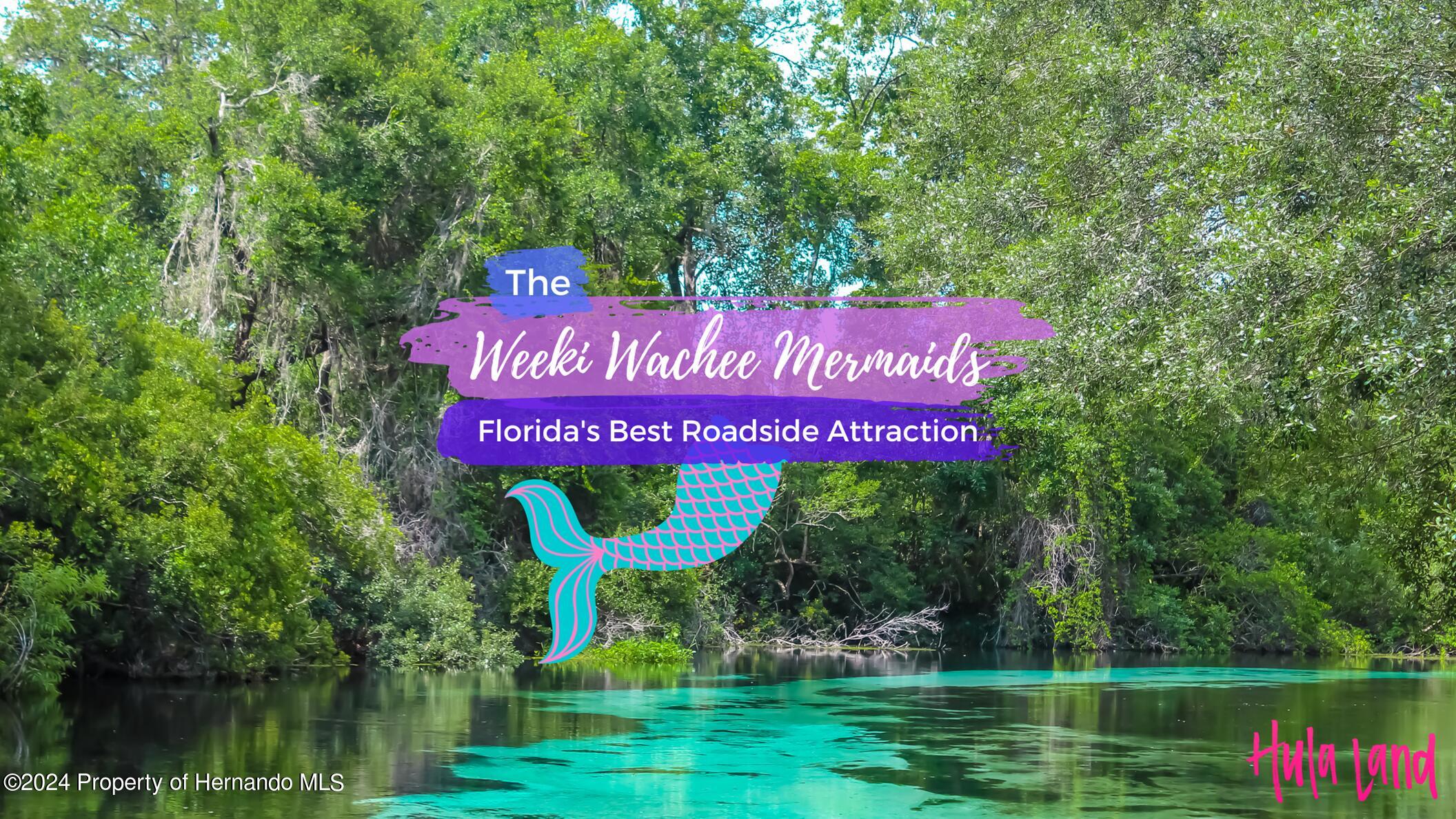 4381 Sutherland Street Spring Hill, FL 34609 - Photo 6 of 8 SH Weeki Wachee Sign