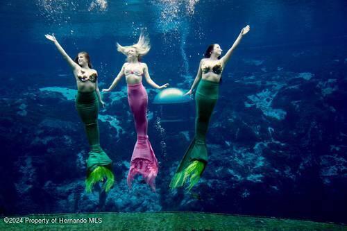 4381 Sutherland Street Spring Hill, FL 34609 - Photo 8 of 8 SH Weeki Wachee mermaids