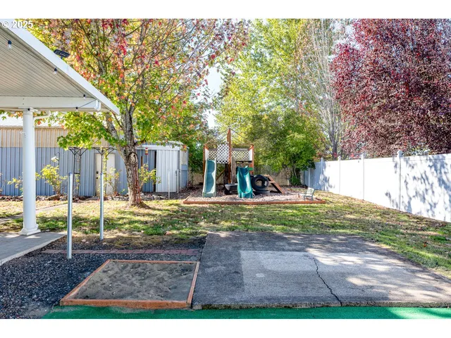 a view of a park that has a tree in it