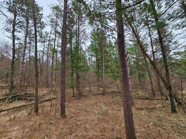 $24,900 | 0 Gale, Wisconsin Dells, WI 53965