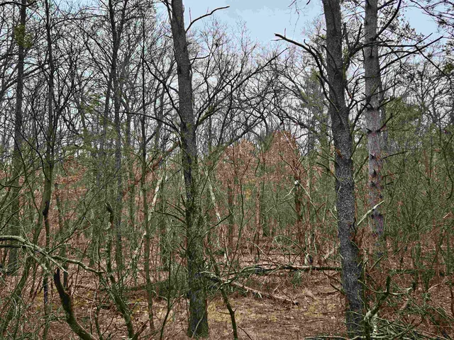 $24,900 | 0 Gale, Wisconsin Dells, WI 53965