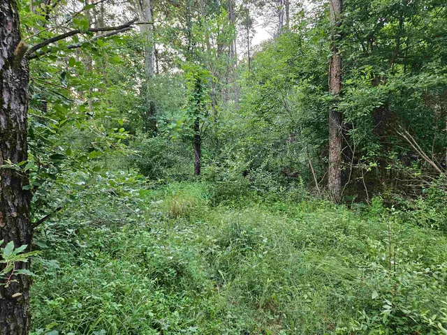 $24,900 | 0 Gale, Wisconsin Dells, WI 53965